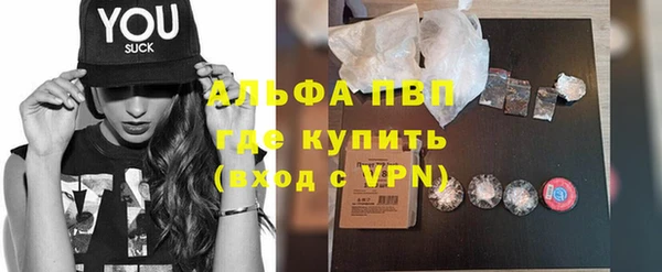 шишки Тавда