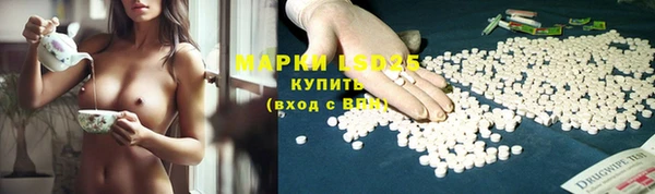 эйфоретик Верея