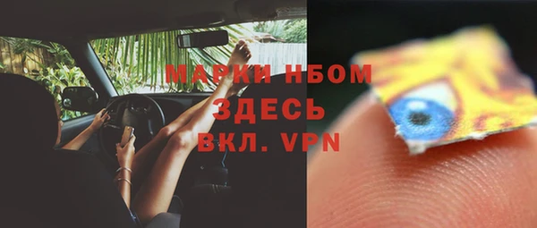 шишки Тавда
