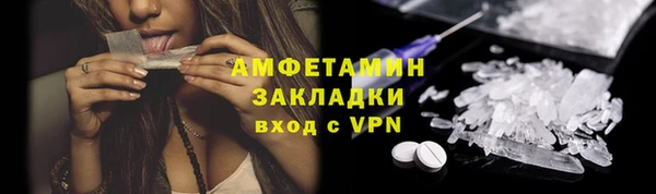 индика Волоколамск