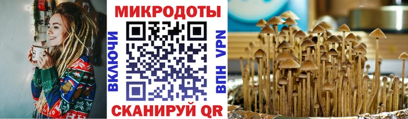 Псилоцибиновые грибы GOLDEN TEACHER  Снежинск 