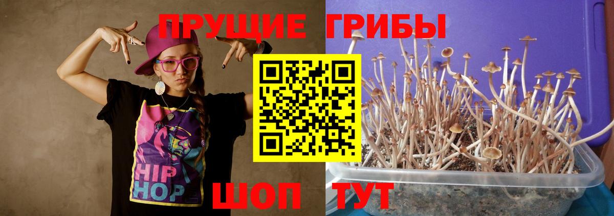 Псилоцибиновые грибы GOLDEN TEACHER  Вход с VPN  Снежинск  Галлюциногенные грибы Magic Shrooms 